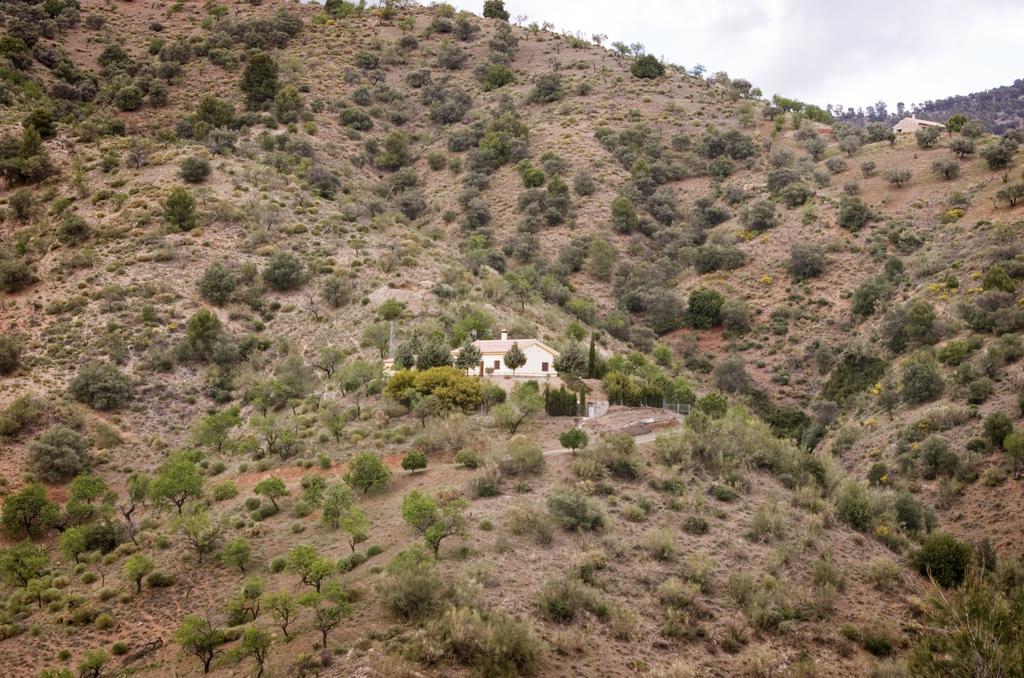 Rural Montes Málaga: Finca Pedregales Quarto foto